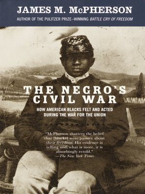 cover image of The Negro's Civil War
